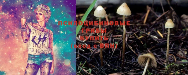 spice Горно-Алтайск